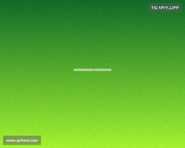 弗拉门戈再次报价塔雷米遭拒 球员只愿加盟意甲或英超